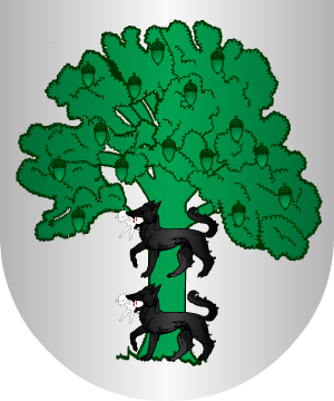 ESCUDO SIGUIENTE